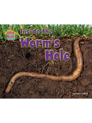 cover image of Inside the Worm's Hole
